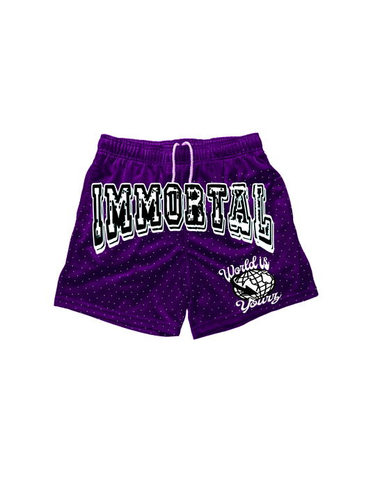 Purple Mesh Shorts